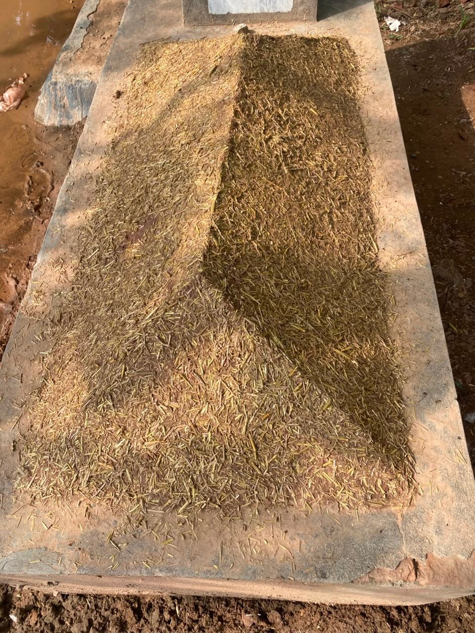 Maintained grave in Pakistan — Qabar Cares