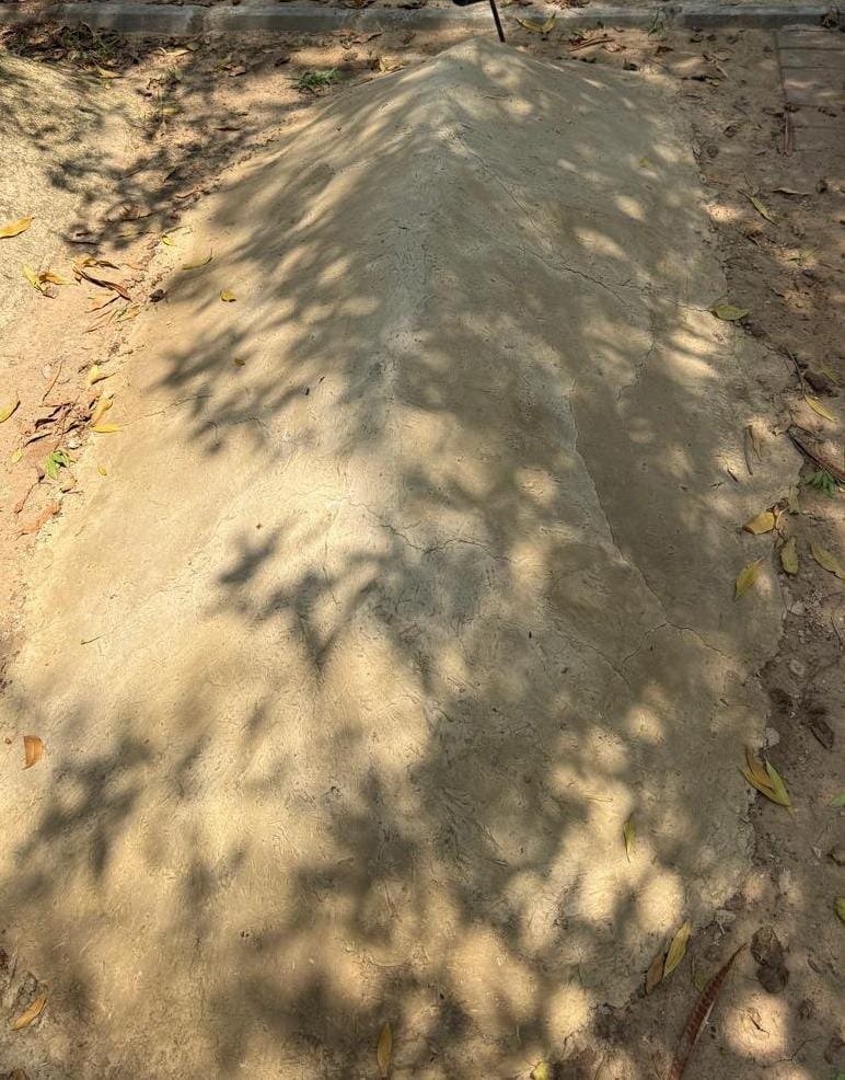 Grave cleaning before and after example