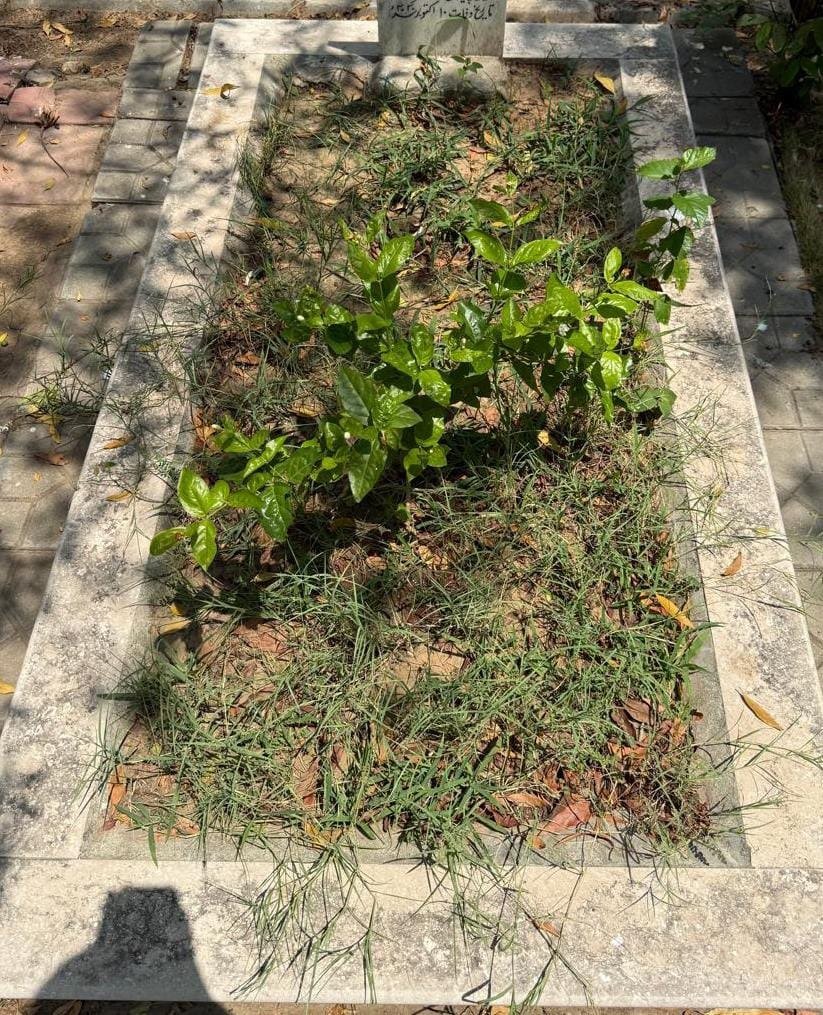 Grave cleaning before and after example